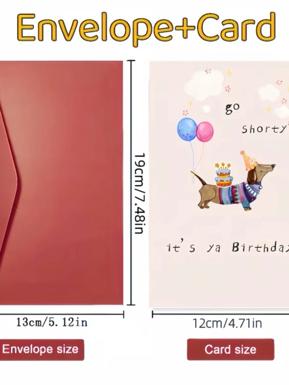 Birthday Dachshund Dog Funny Greeting Card